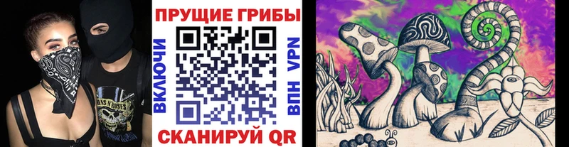 нарко площадка клад  Ревда  Псилоцибиновые грибы Psilocybe 